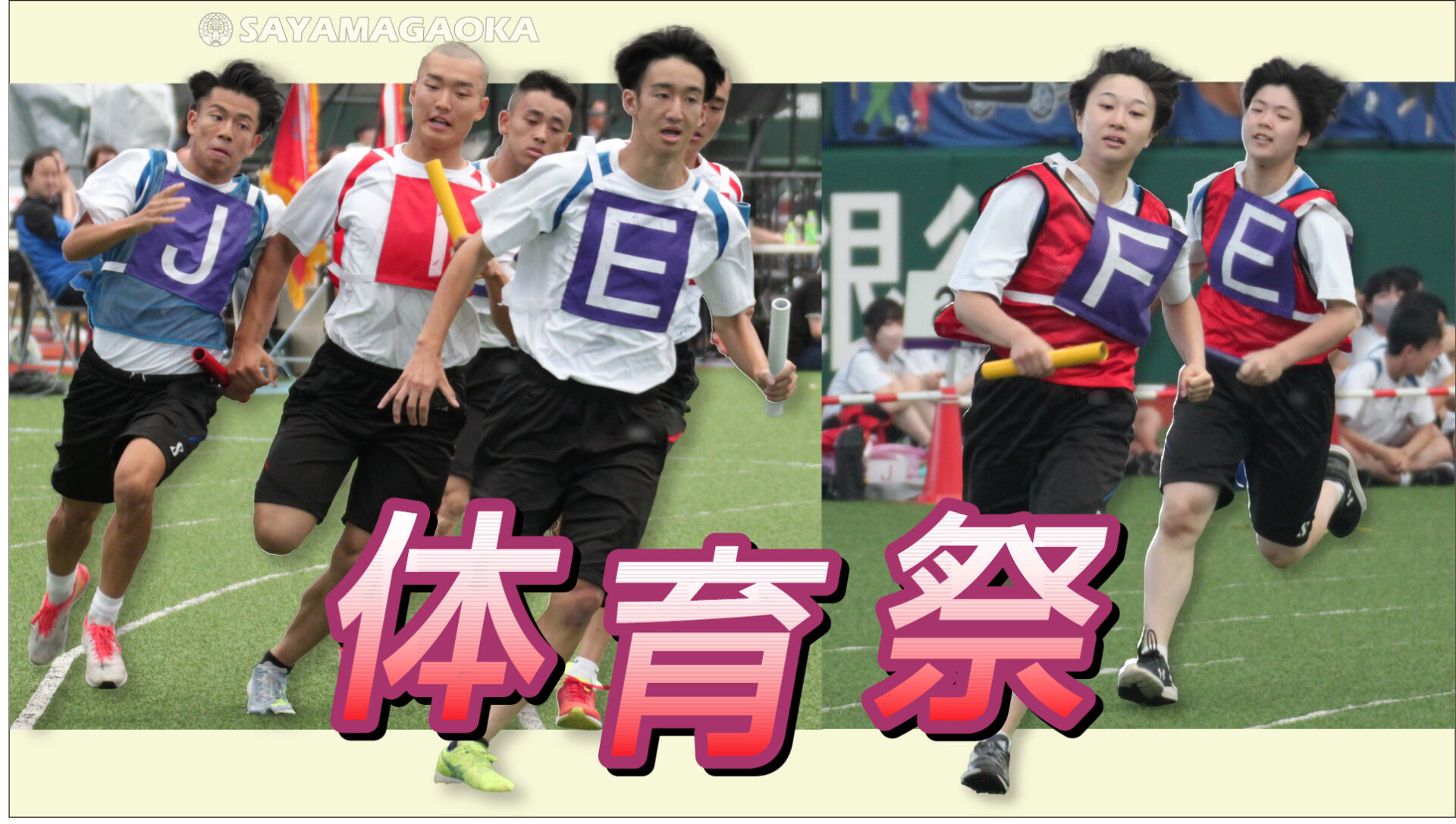 女子小中学生　体育　エロ 2023年度 体育祭を行いました。 – 狭山ヶ丘高等学校・同付属中学校