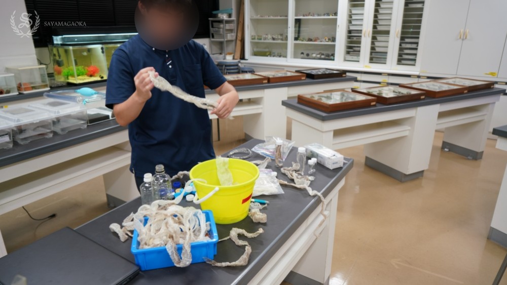 科学部の展示風景